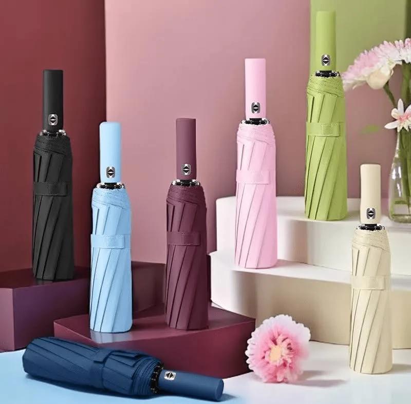 WhatsApp Image 2025-12-10 at 11.18.03 AM